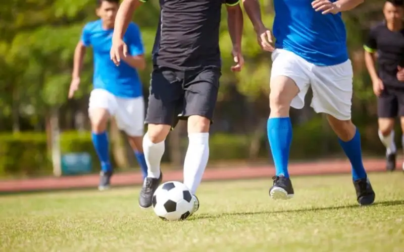 Cách cá cược thể thao V-League